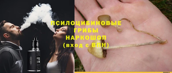 тгк Абдулино