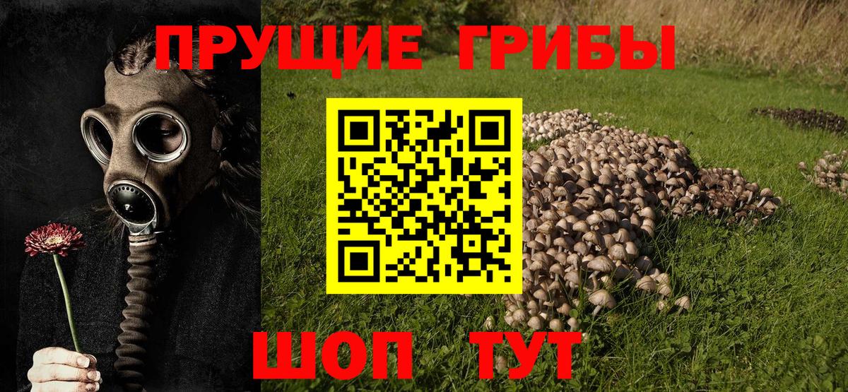 Галлюциногенные грибы Magic Shrooms Ртищево