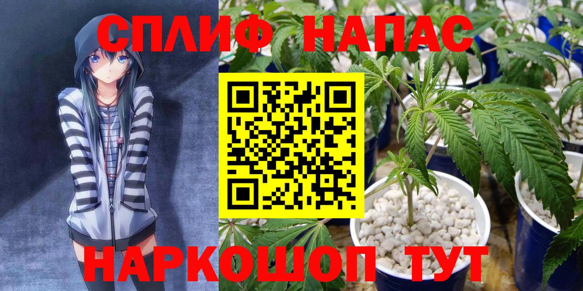 Ртищево  МАРИХУАНА Ganja  Канабис White Widow  Вход с VPN  Конопля план 